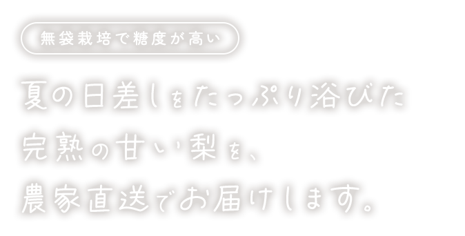 夏の日差しをたっぷり浴びた完熟の甘い梨を、農家直送でお届けします。