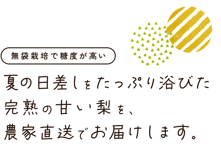 夏の日差しをたっぷり浴びた完熟の甘い梨を、農家直送でお届けします。