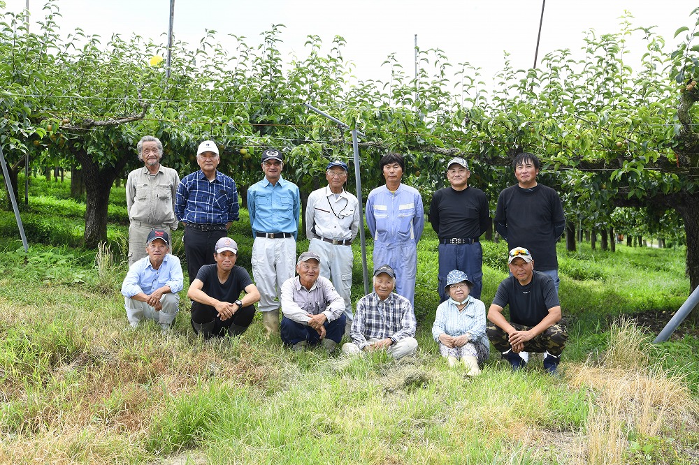 神戸三水園の梨が美味しい理由